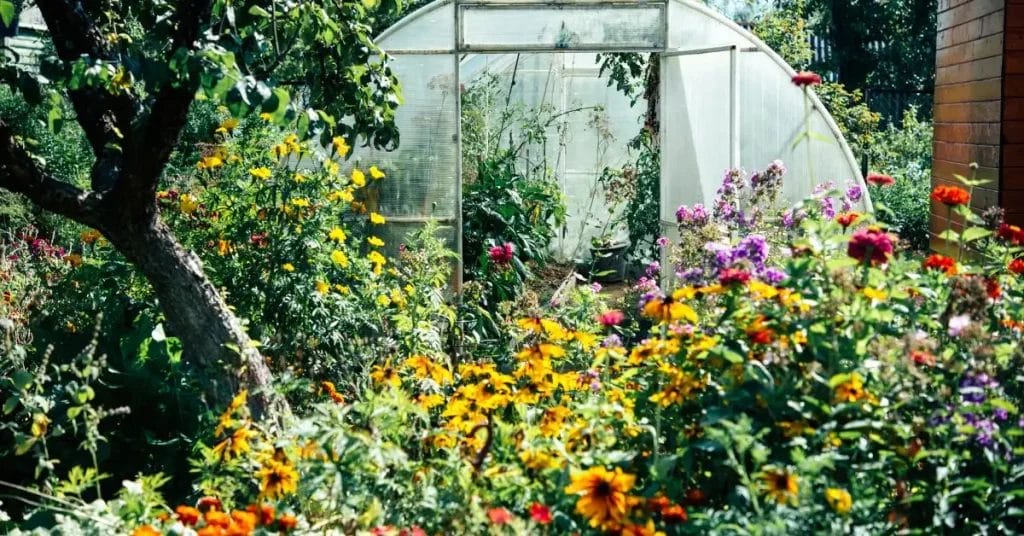 vaxthus utan bygglov